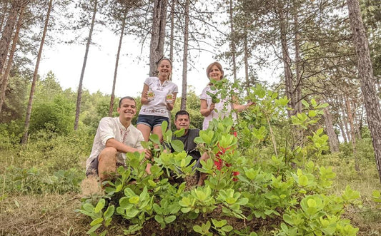 Sumakwater: De natuurlijke oplossing voor bloedend tandvlees, tandbederf, koortsblaasjes en slechte adem