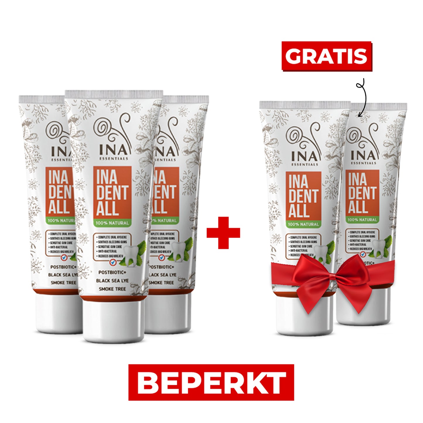 Koop 3 Ina Dent-All tandpasta's, ontvang 2 natuurlijke tandpasta's gratis