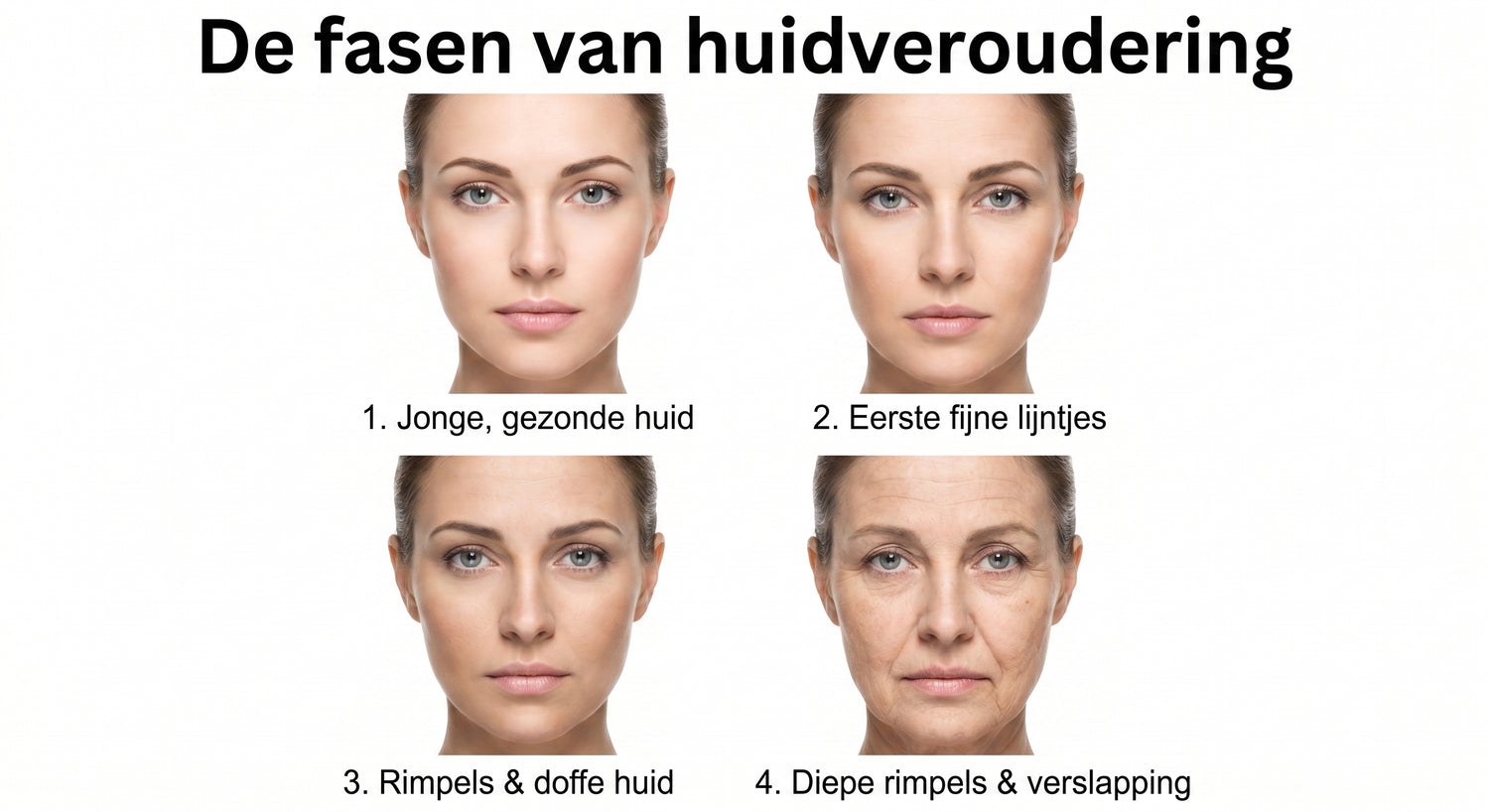 spf NL infographic