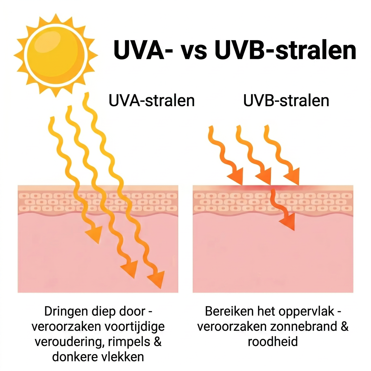 spf NL infographic