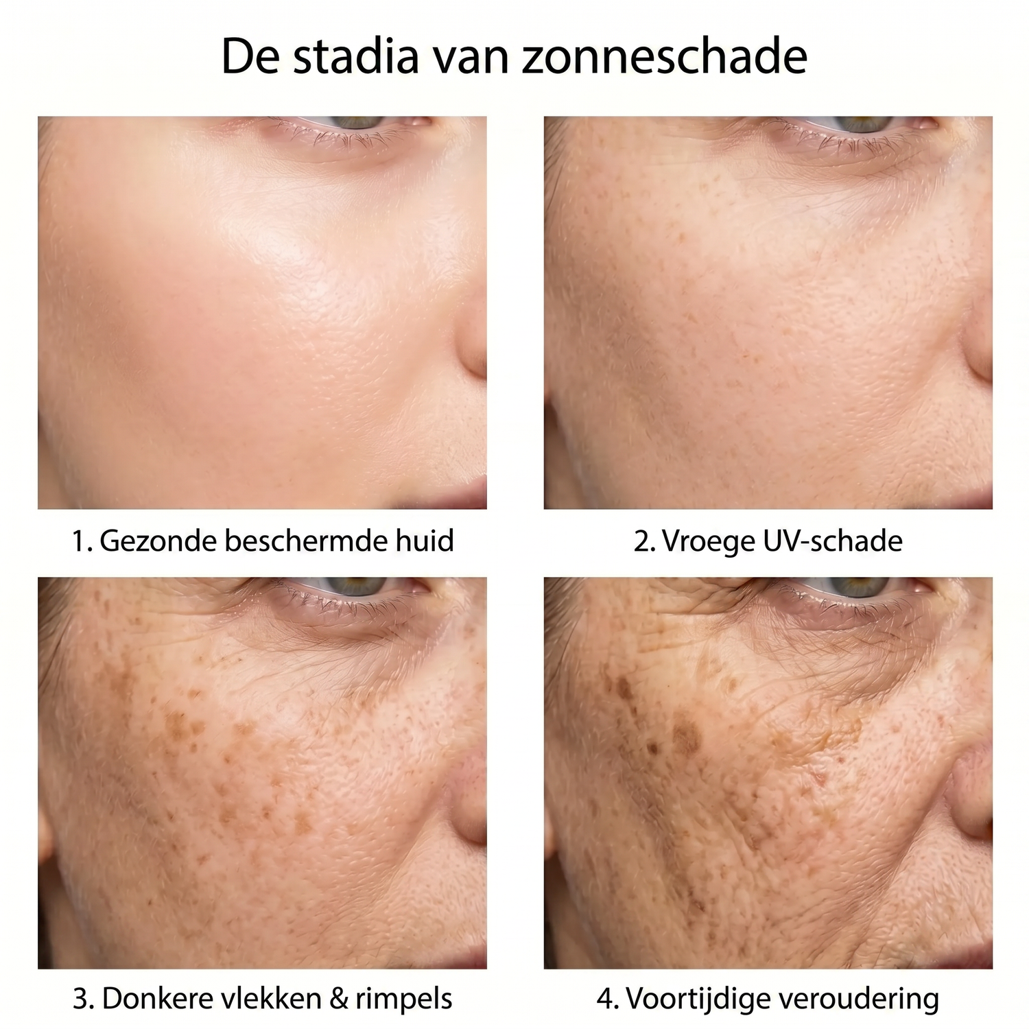 spf NL infographic